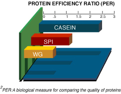 Protein Efficiency Ratio Chart